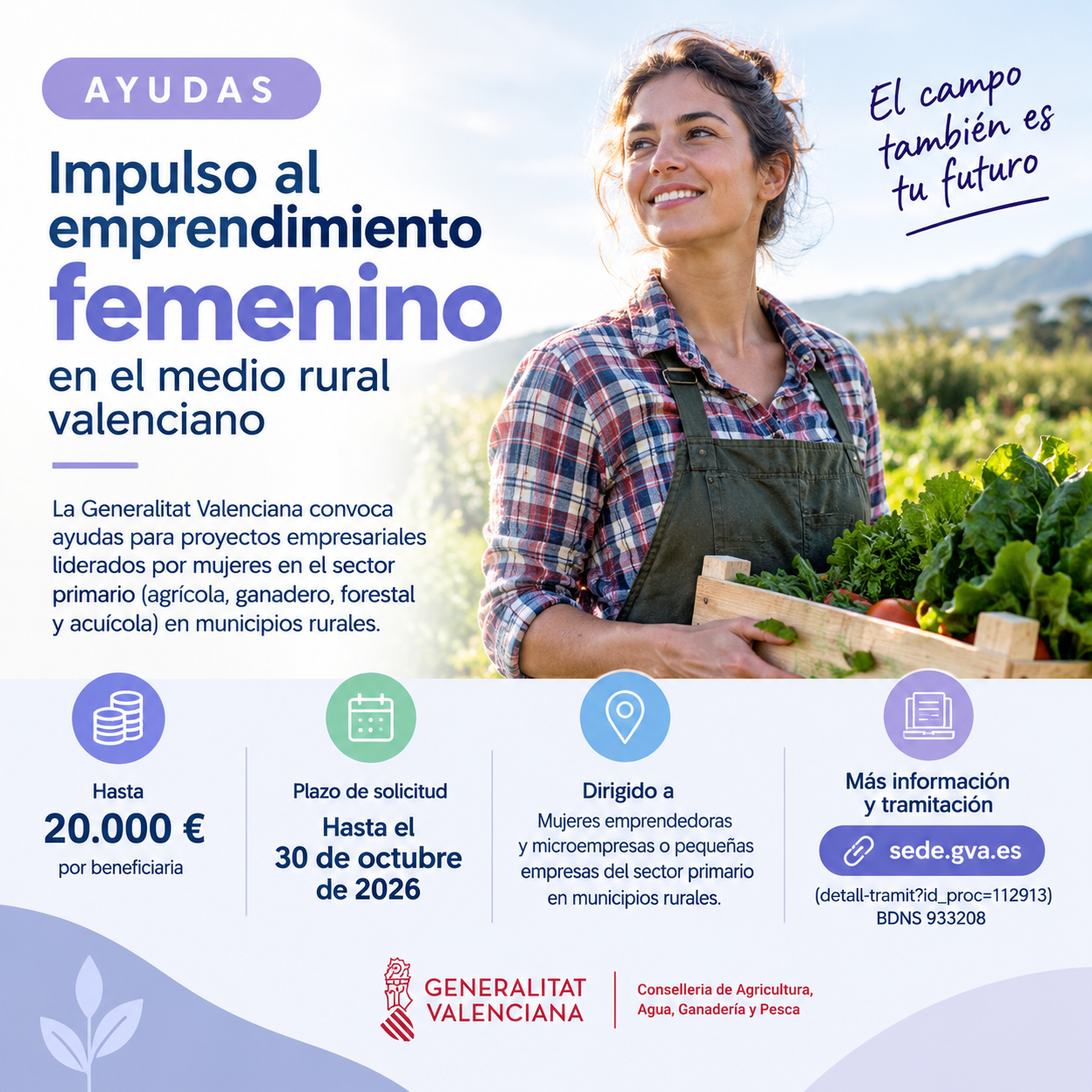 La Generalitat convoca ayudas de hasta 20.000 euros para impulsar el emprendimiento femenino en el medio rural valenciano